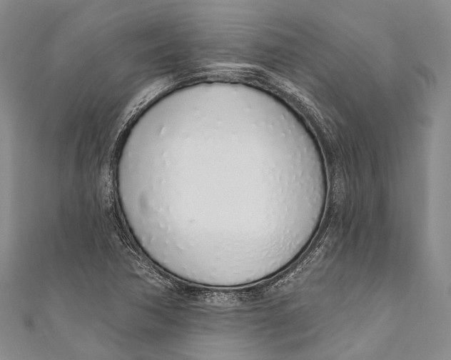 X0000110981362200907101400