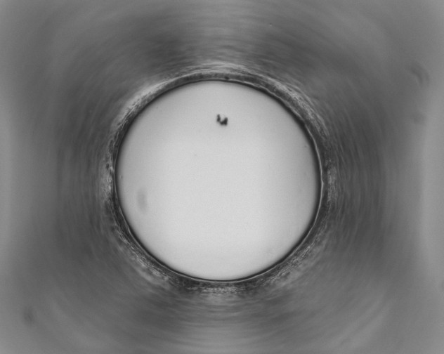 X0000110981363200907101400