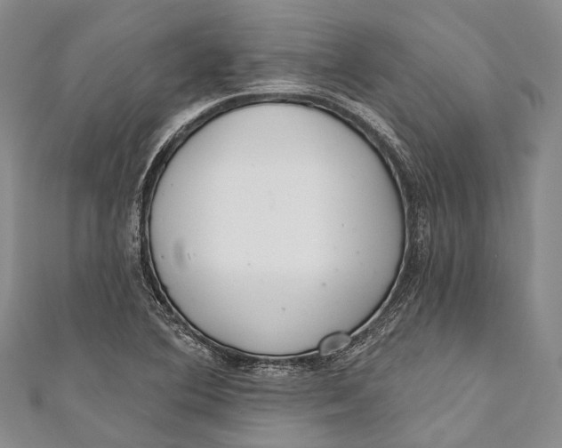 X0000110981364200907101400