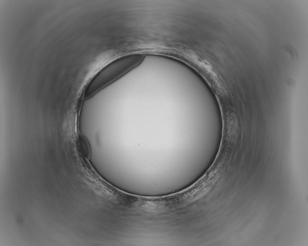 X0000110981365200907101400