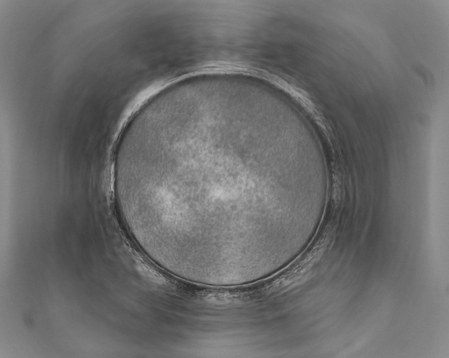 X0000110981366200907101400