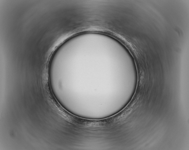 X0000110981367200907101400