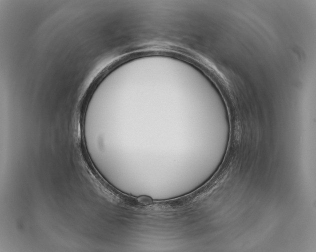 X0000110981368200907101400