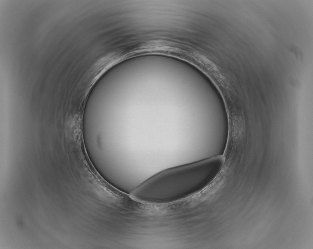 X0000110981369200907101400