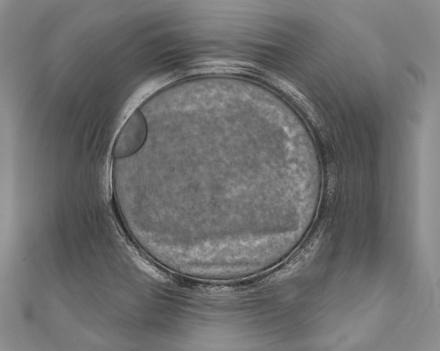 X0000110981370200907101400