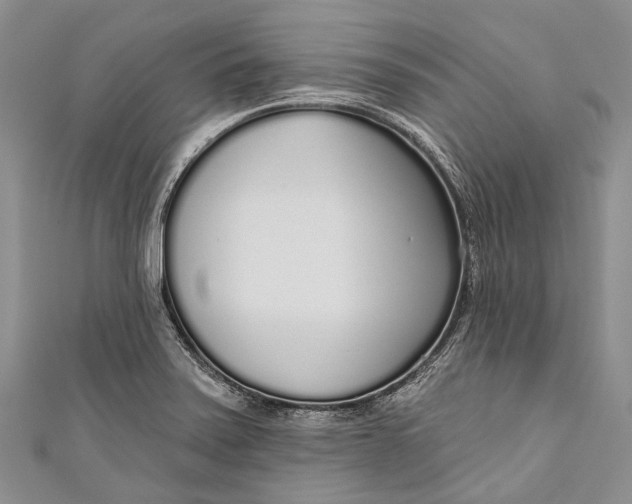 X0000110981371200907101400