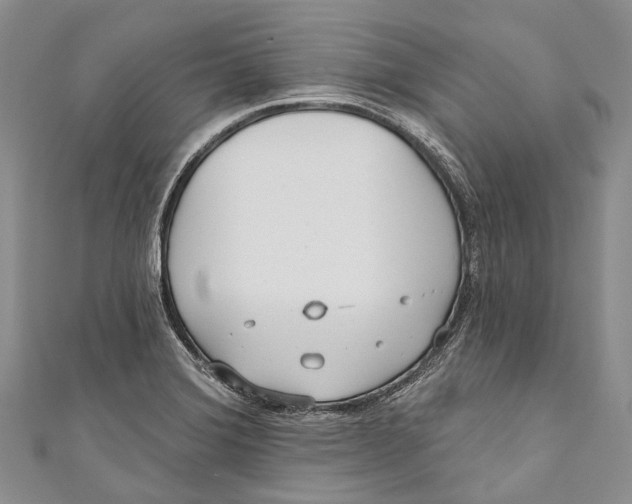 X0000110981372200907101400