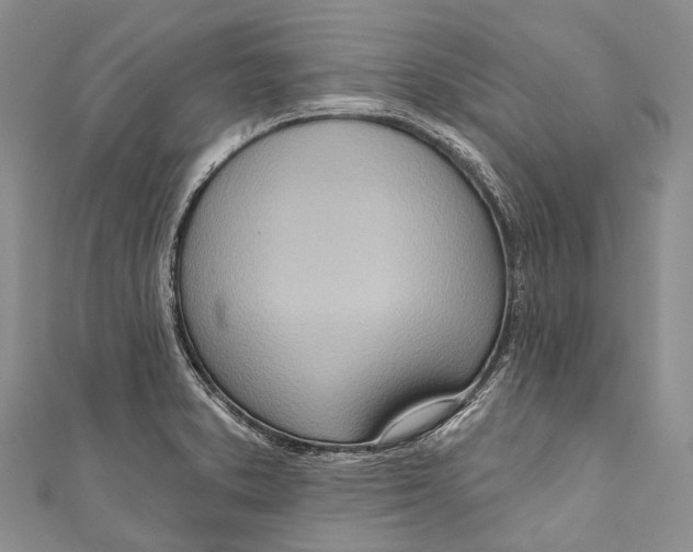 X0000110981373200907101400