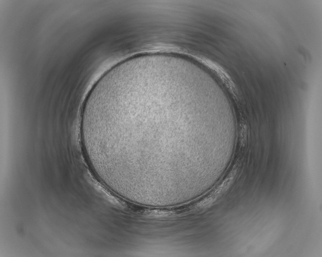 X0000110981374200907101400