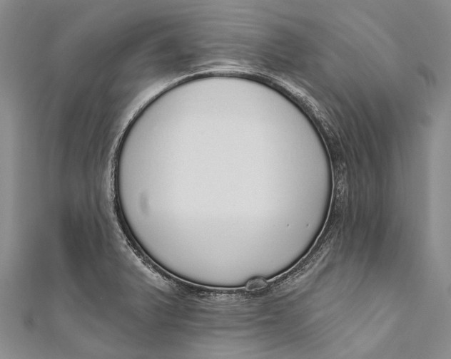 X0000110981375200907101400