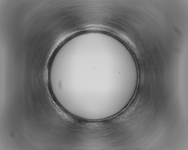 X0000110981376200907101400