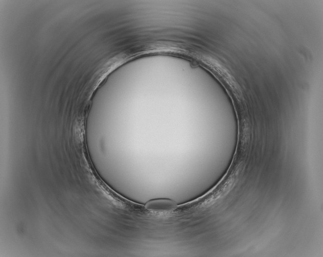 X0000110981377200907101400