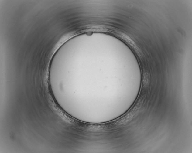 X0000110981378200907101400