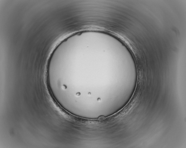 X0000110981379200907101400