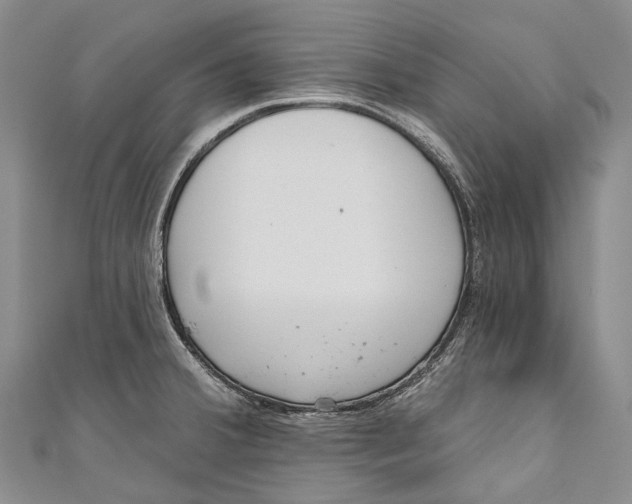 X0000110981380200907101400