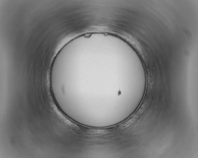 X0000110981382200907101400