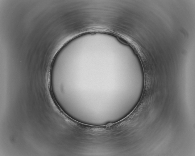 X0000110981383200907101400