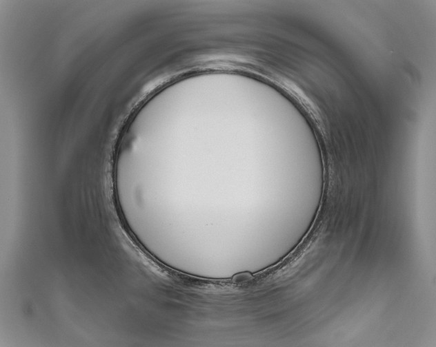 X0000110981384200907101400