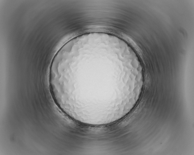 X0000110981386200907101400