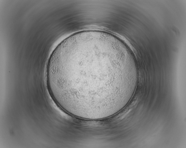 X0000110981387200907101400