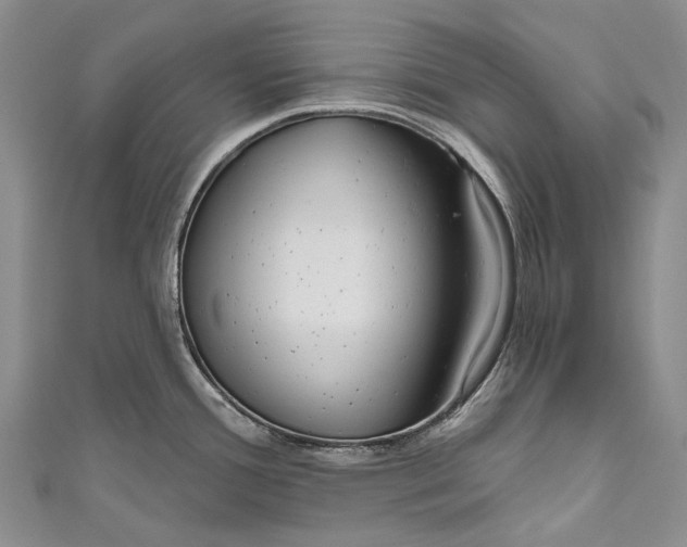 X0000110981388200907101400