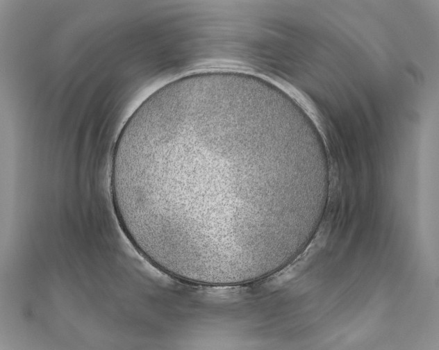 X0000110981390200907101400