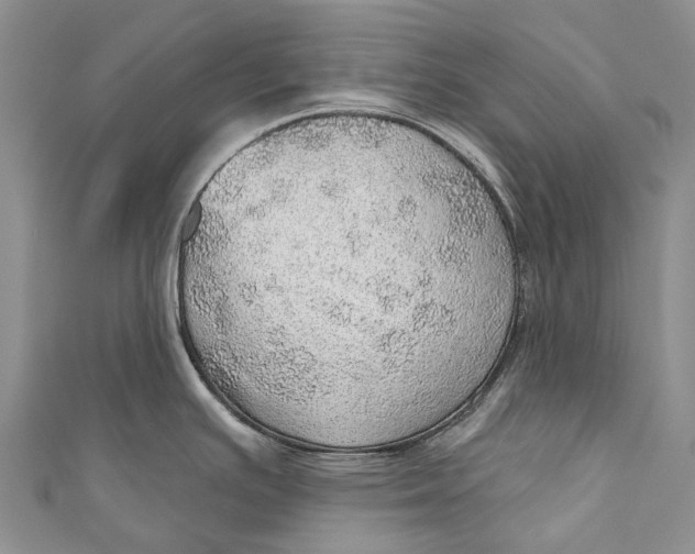 X0000110981391200907101400