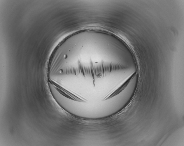 X0000110981392200907101400