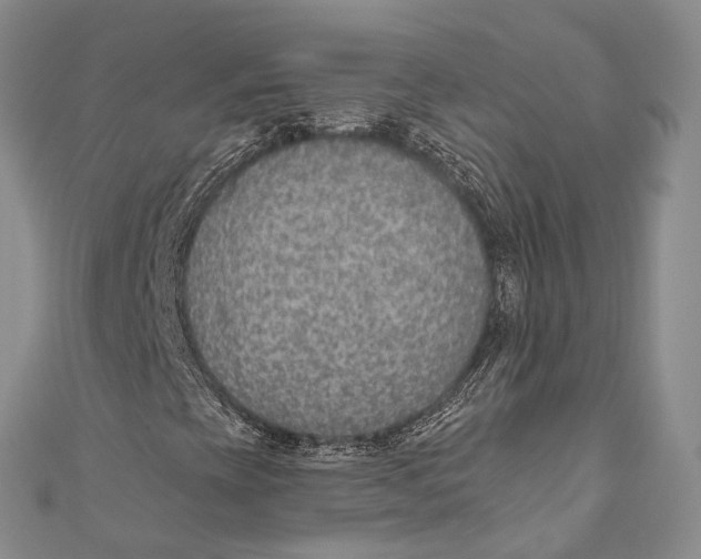 X0000110981393200907101359