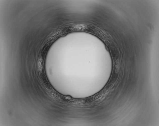 X0000110981394200907101359