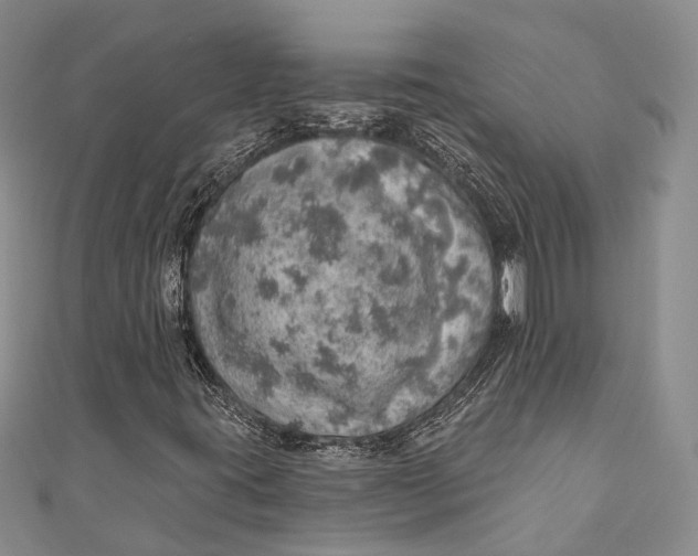 X0000110981395200907101359