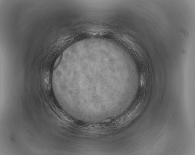 X0000110981396200907101359