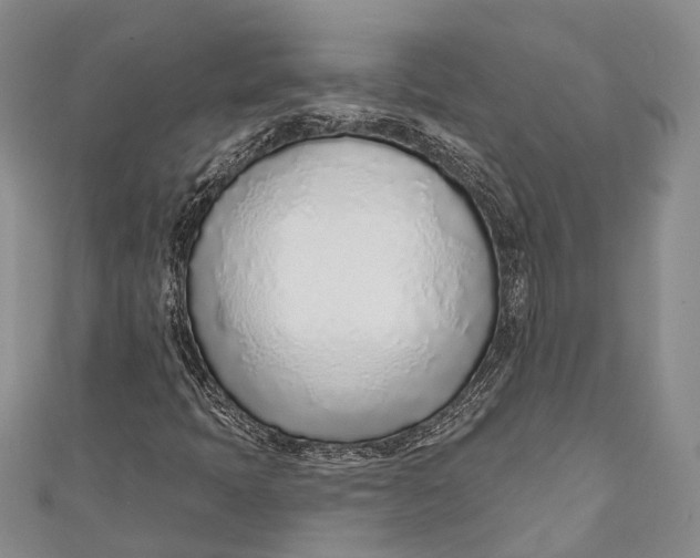 X0000110981397200907101359