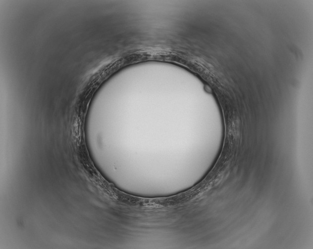 X0000110981398200907101359