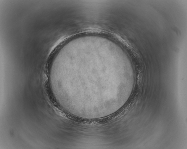 X0000110981400200907101359