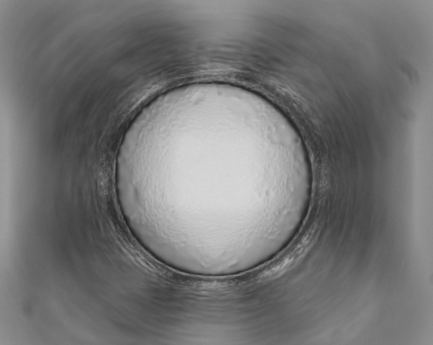 X0000110981401200907101359