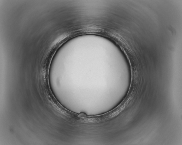 X0000110981402200907101359