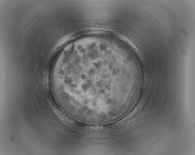 X0000110981403200907101359