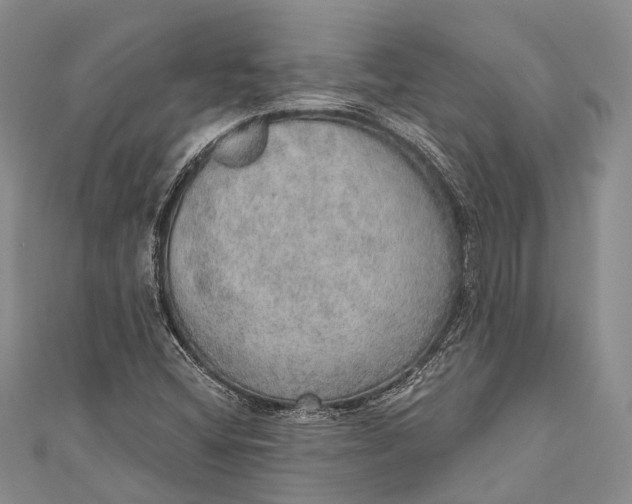 X0000110981404200907101359