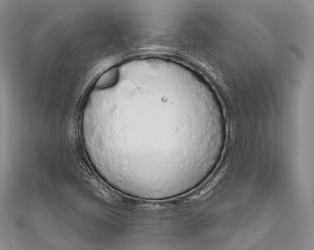 X0000110981405200907101359