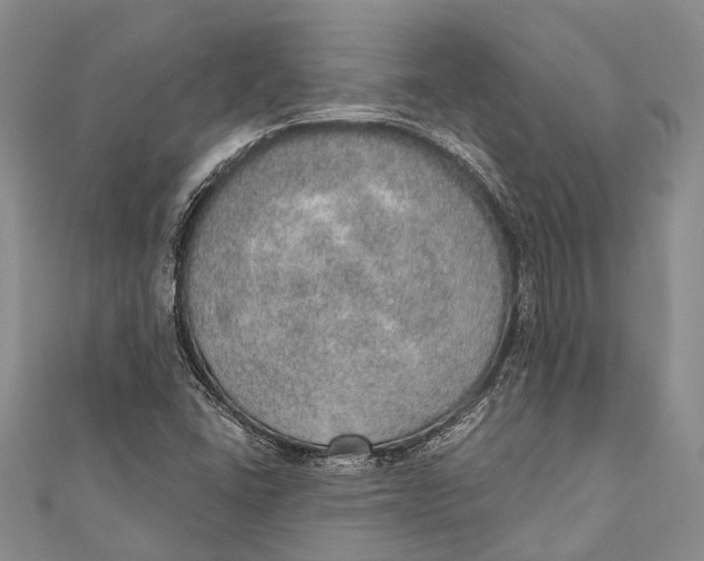 X0000110981406200907101359