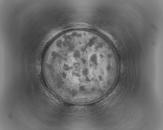 X0000110981407200907101359