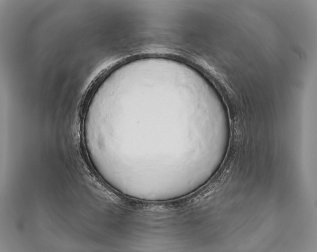 X0000110981408200907101359