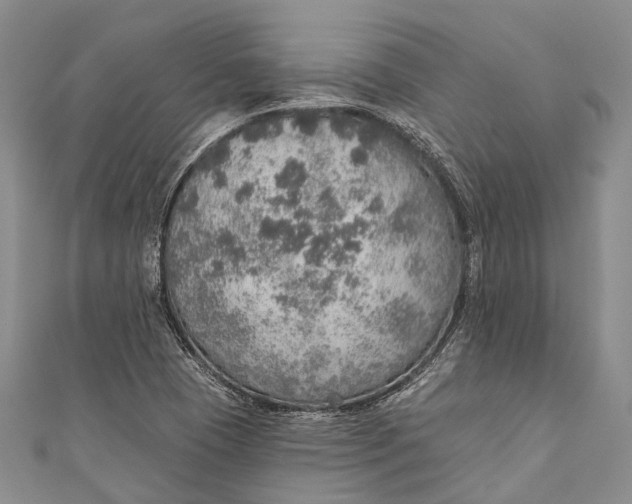 X0000110981409200907101359