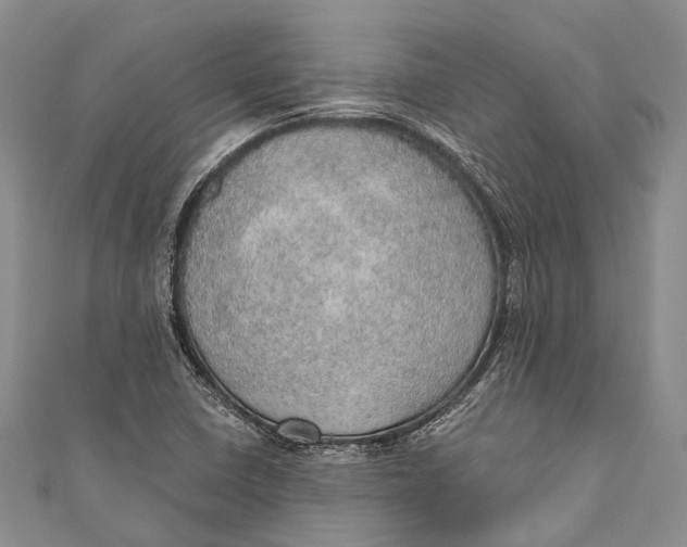 X0000110981410200907101359