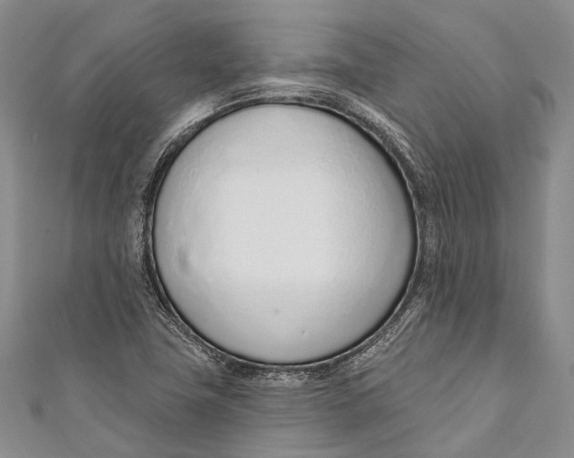 X0000110981411200907101359