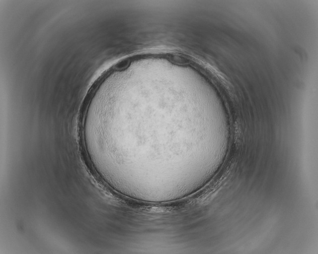 X0000110981412200907101359