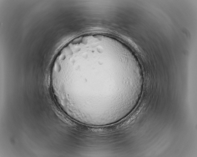 X0000110981413200907101400