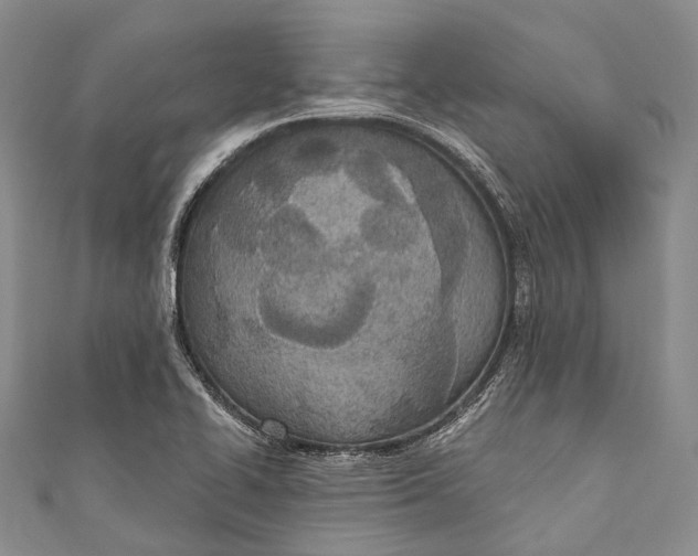 X0000110981414200907101400