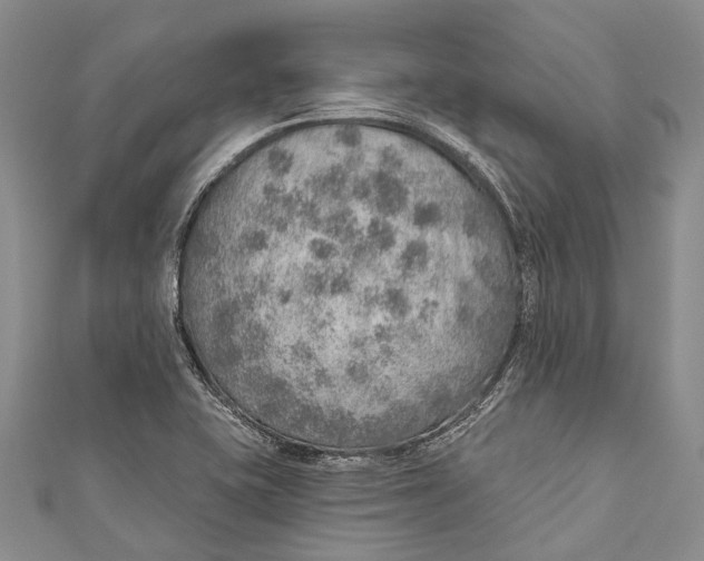 X0000110981415200907101400